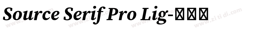 Source Serif Pro Lig字体转换